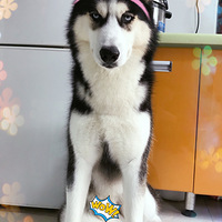 ���ǼҶ����ĳɳ���¼