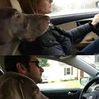 ��˾����Ů˾����������Щ�����ϵ�����