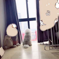 ΢Ц��ʹ���ݼ�����