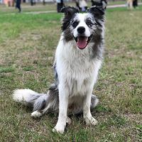 һ�����ʯ�����ܵ���ϱ����~~������