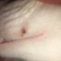 ˭�ܰ￴��è������������������˰�