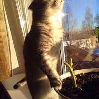 è�����⣬�൱���Һ�WIFI