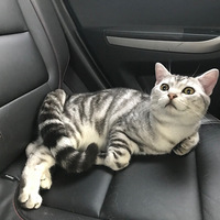 ���̵ܷܵ����ˣ���ŮƱ