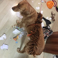 ��������Ϊ��ë��һ����ů�Ĺ���