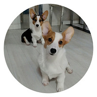 ���ǵĺ���������~