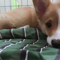 С����ɳ���