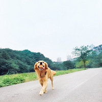 �͹�����ʮ���s����