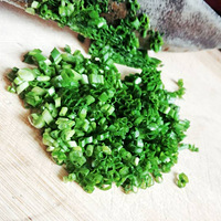 ���ڰ����ˣ�����