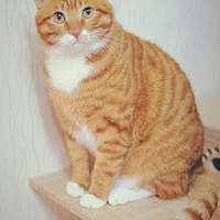 ��ʵ.....������ɹè��.....