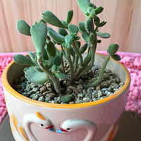 ����������Ϣһ��