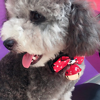 Ѱ����ʾ���Լҹ����߶��ˣ��������Ѱ�æ����һ�¡�