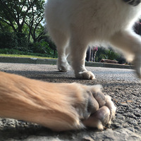 �]��һ���o�B�����۵ģ�Ҳ߀����ӛ�