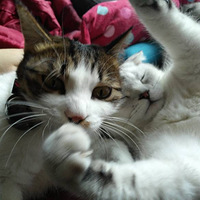 ɹ���Ҽҵ���ֻ