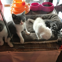 �������ɼǣ������ڸ��£�