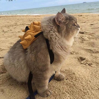 ��������������è���ȷ�������