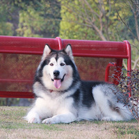 ӭ��ů��ɹһ������