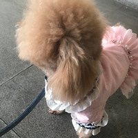 ཱ�С�-��dubimeimei �����㡿