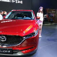 �������ѽڸ�������