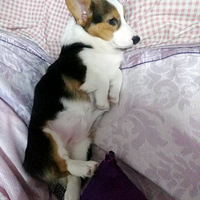 С���ȵ�˯��