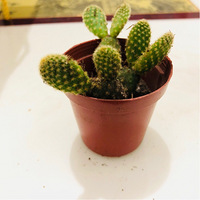 ɹһ���������˼���Ķ���