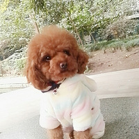 ����������ʱװ�㡿��Բ��ü����װ��