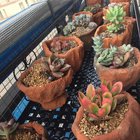 ���������Ƕ���״̬�����ü���