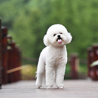 ����������ʱװ�㡿�Ҽ�yoyo�󱦱�����