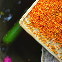 �ҵ������ζƷ��������ʳ����Ȥ