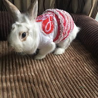 ����������ʱװ�㡿����˵���ǳ仰���͵�