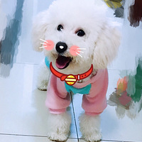 ����������ʱװ�㡿Ҫ�������������Ĳ�����