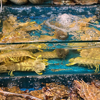 ����ȥ����ƺ�����г�����з������Ϻ�����㡢���㡢����������