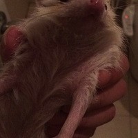 ϴ���趼�����ֵ�С����~