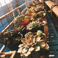 ����ã�¥���У�����ɹ����