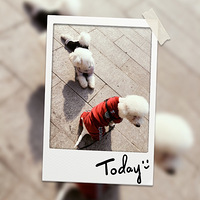 ɹ̫��...ɹ̫��...