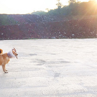 �@���Lĩ�����ԣ�