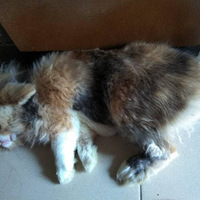 �������ã�Ҳ��ɹ̫��