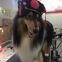 ����������ʱװ�㡿֮�����