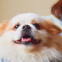 ʮ��С����ʧ���ļ����