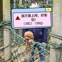 ������������Ӱ���