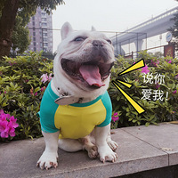 12��9�գ�����ʥ����ſ������ͼƬ��