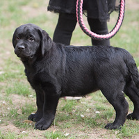 ���վ�Υ�����⣬��С���ѳ�������