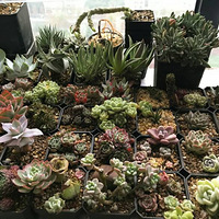 ���Ķ��⣬��������һ����ɫ