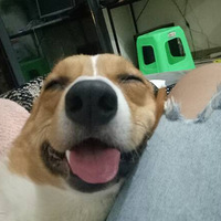 �������Ҹ�Ů����