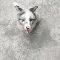 ��2����ı߾�����Ȯ������˵���������ĺ���Ȯ���������ɶ��