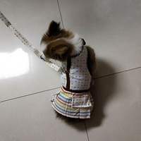 ����������ʱװ�㡿����С�һ����ͬ��