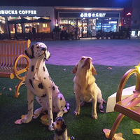 һֻ�ݼ�����ֵ�������˵���������