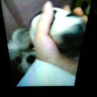 С�����������