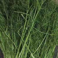 �������ӣ�������