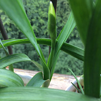 �����˵�ˮ�ɿ�����