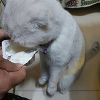 �Ի�������